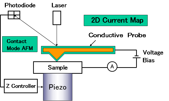 C‑AFM 測定原理模式図