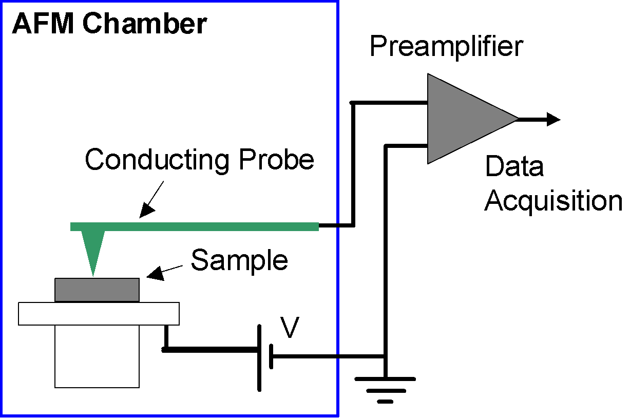C-AFM測定原理図